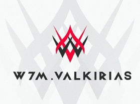 Read more about the article W7M Gaming anuncia parceria com Valkirias
